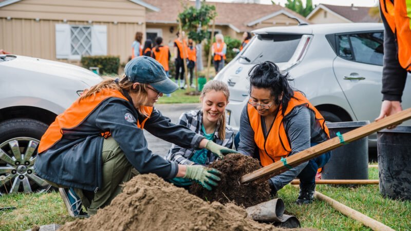 Restoration & Conservation