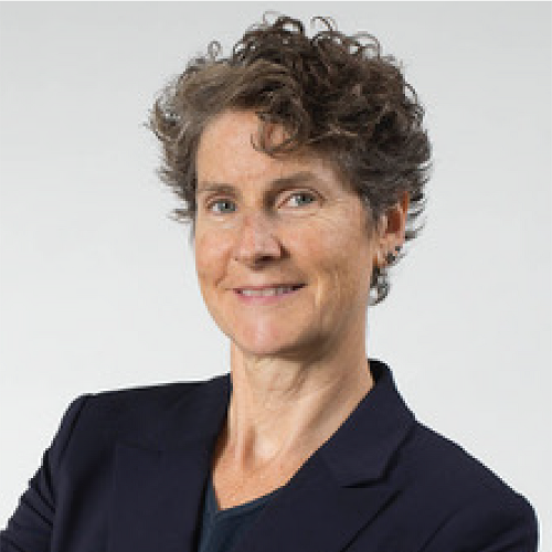 Lynn
                            Voting system research