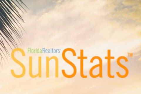 Teams Structures Today