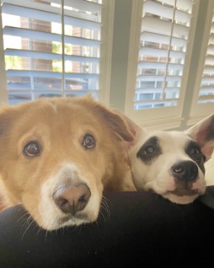 Murphey & Gracie Lou Freebush