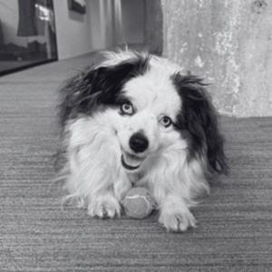 Miss Moneypenny ("Penny")