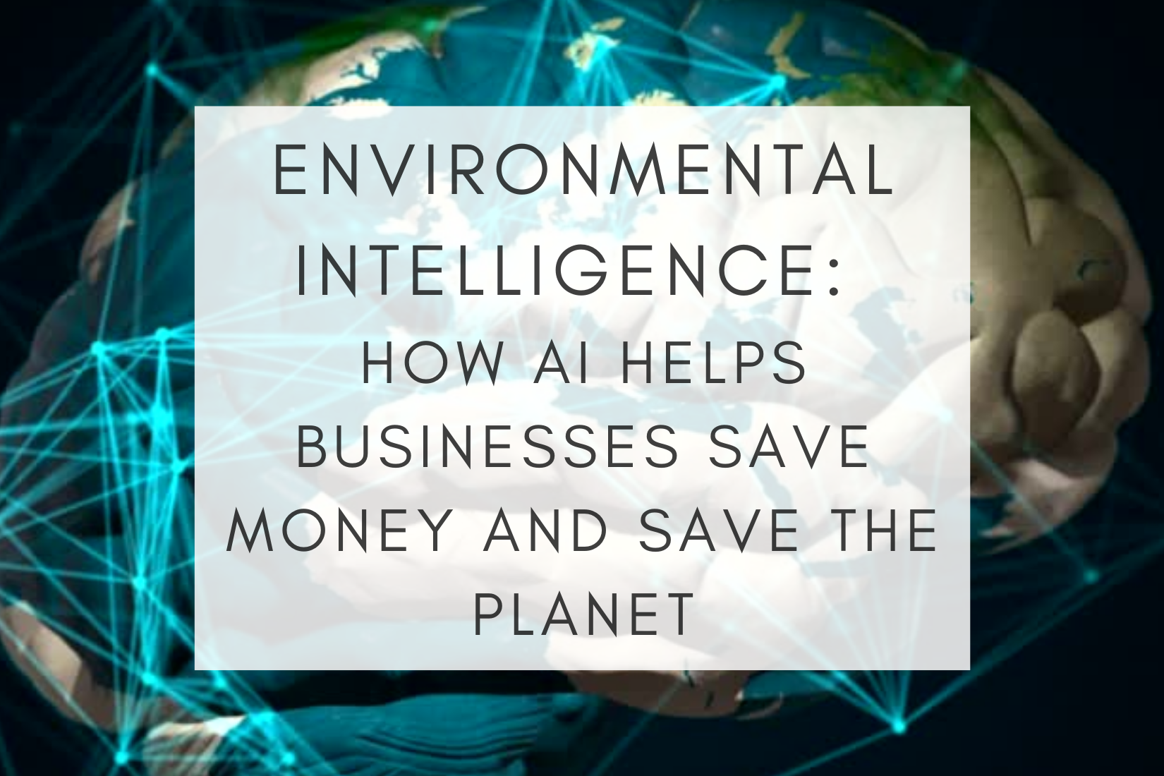 ai sustainability