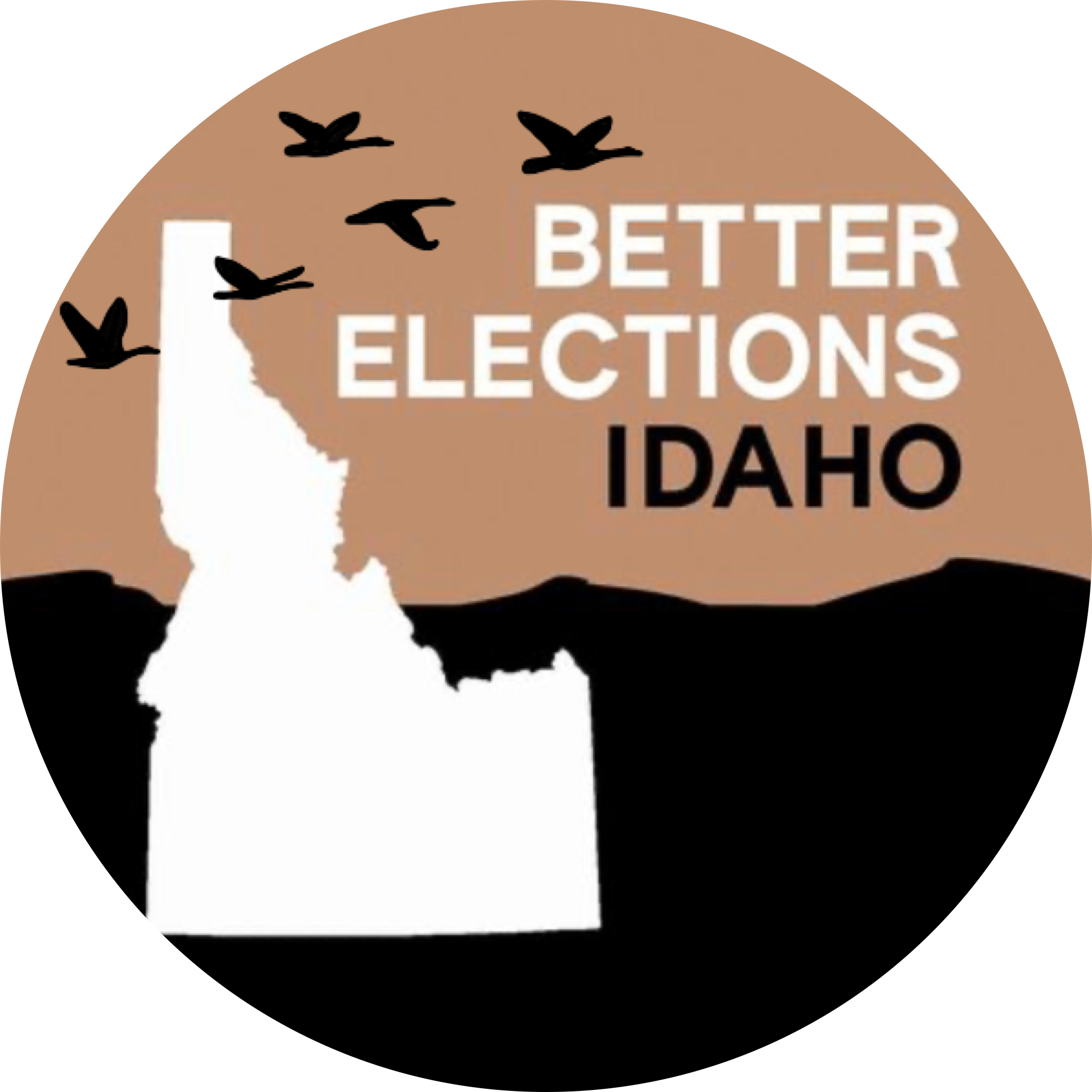 Better Elections Idaho